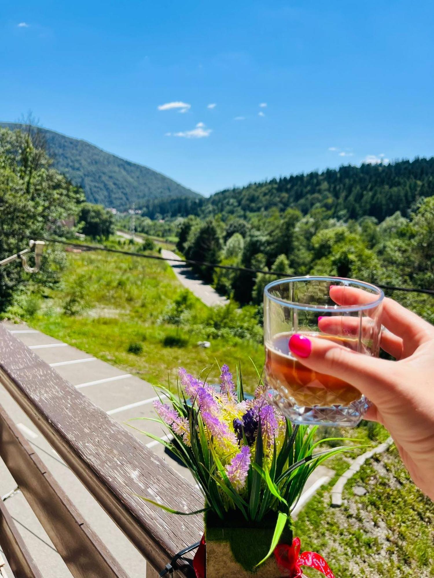 Pensiunea Roua 3* Sinaia