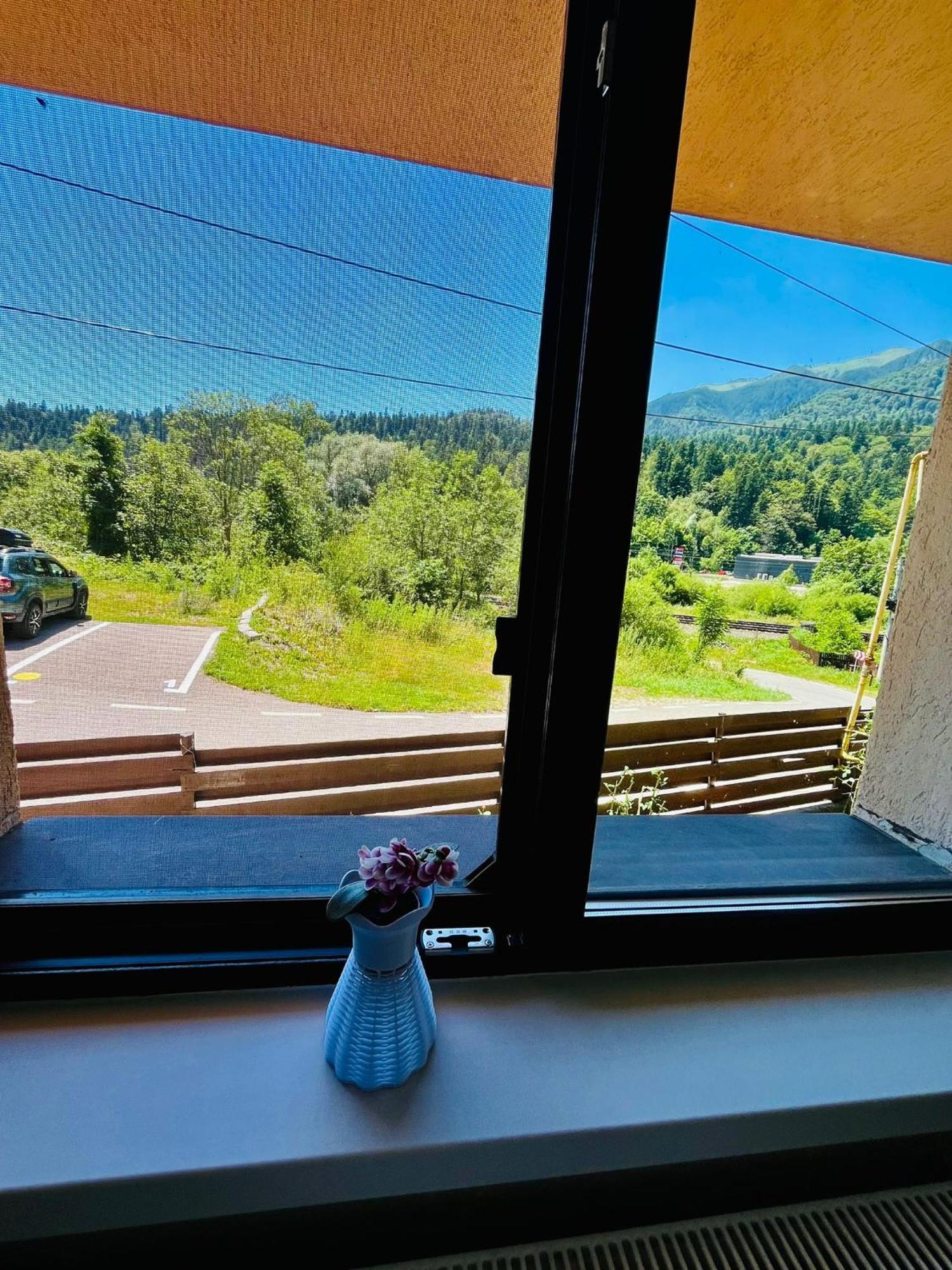 B&B Pensiunea Roua Sinaia