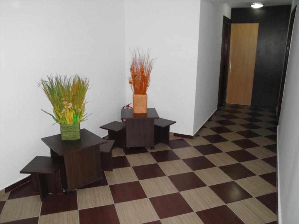 Pensiunea Roua B&B 3*